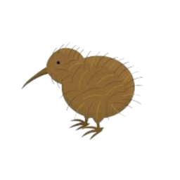Kiwi Icon